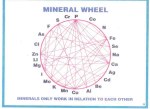 mineralwheel2